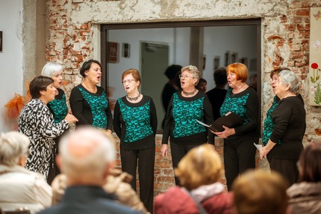 Klekljane čipke Rezke Kordež in Sekcije Lipa Ravne pri Društvu klekljaric Koroške  odprtje občasne razstave